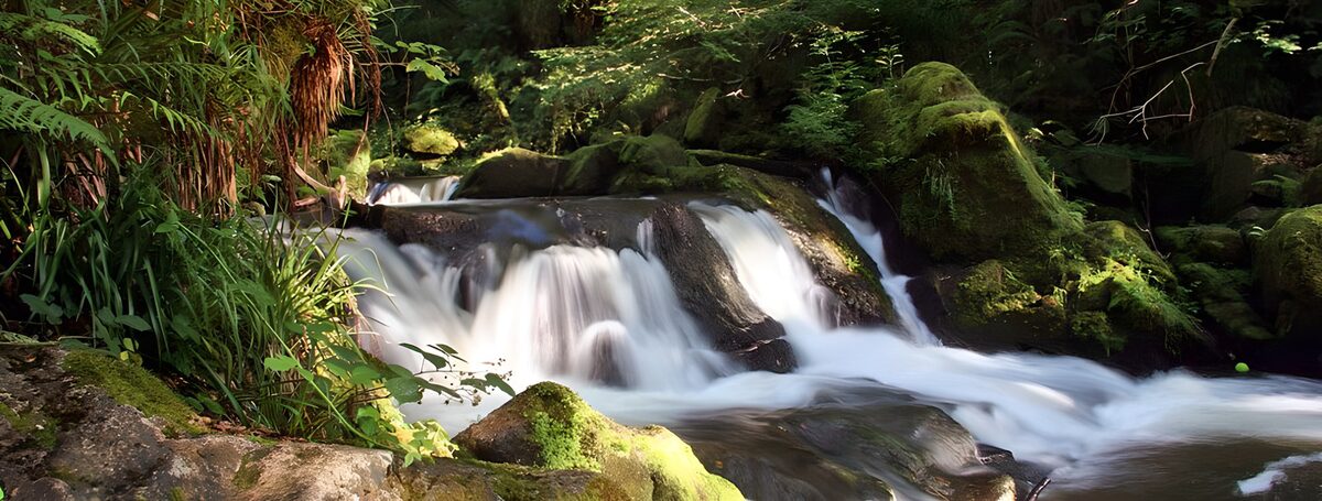 Serene River Cascade