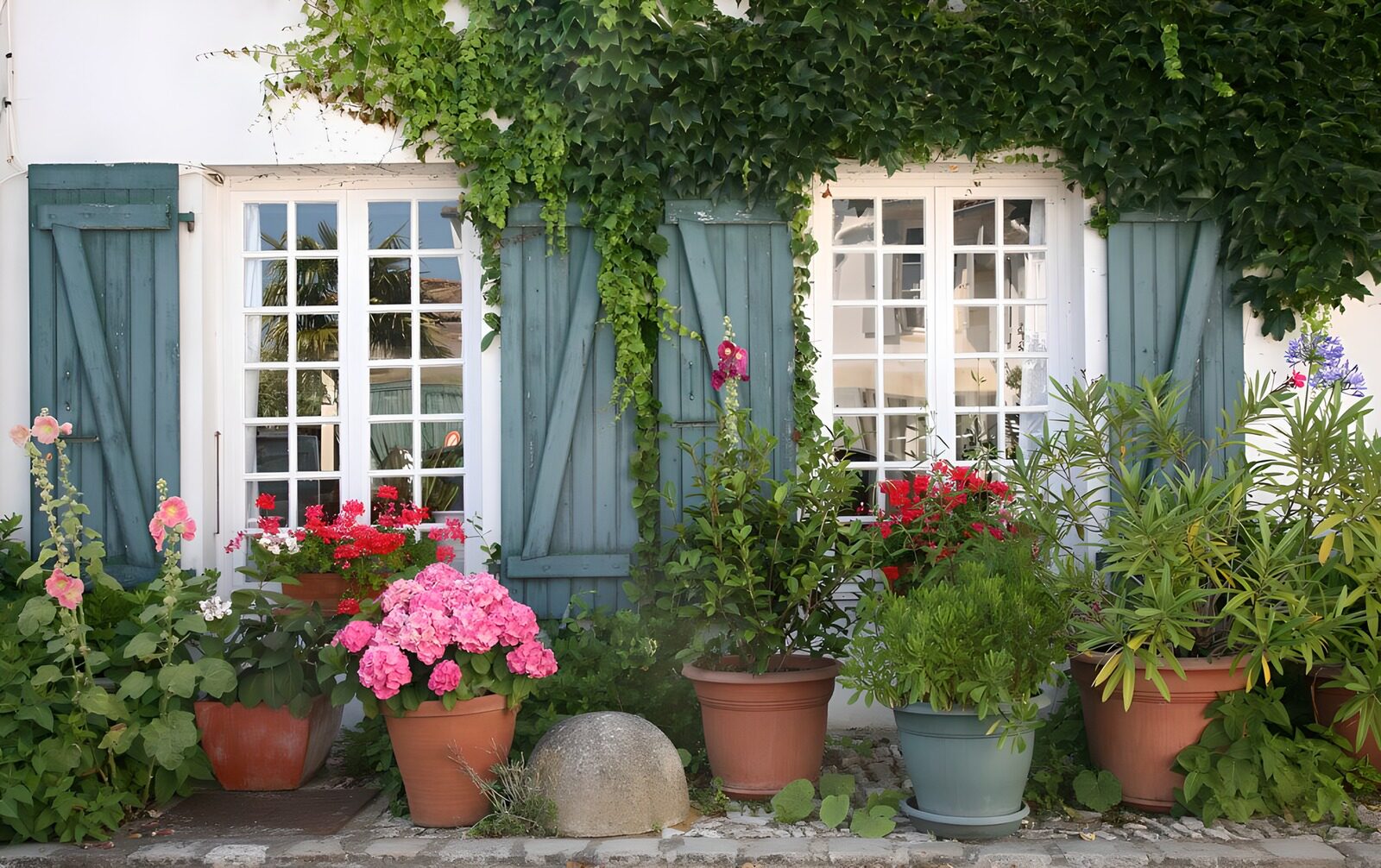 OCCOM7202680: Charming Flower-adorned Window