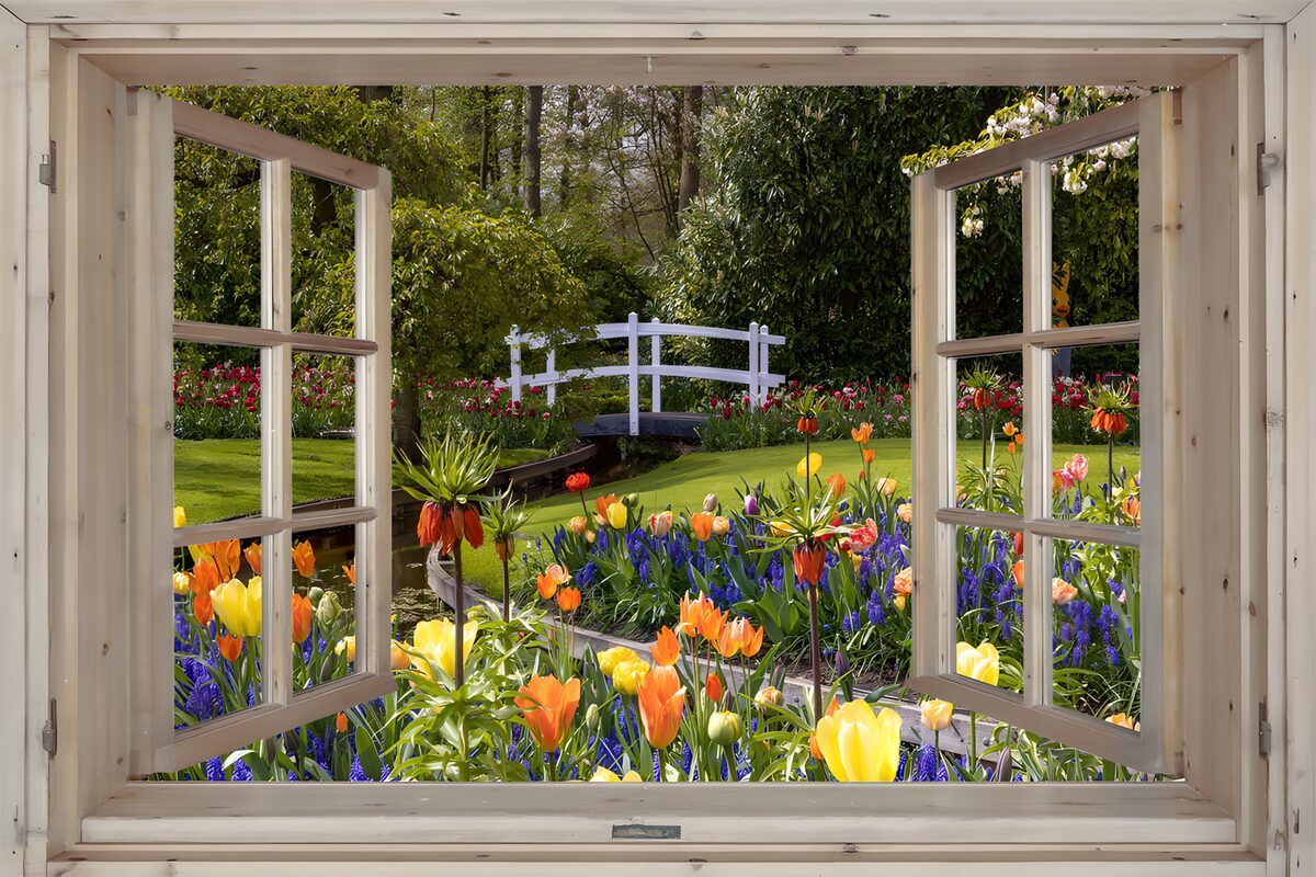 View of a Colorful Garden Through a Window