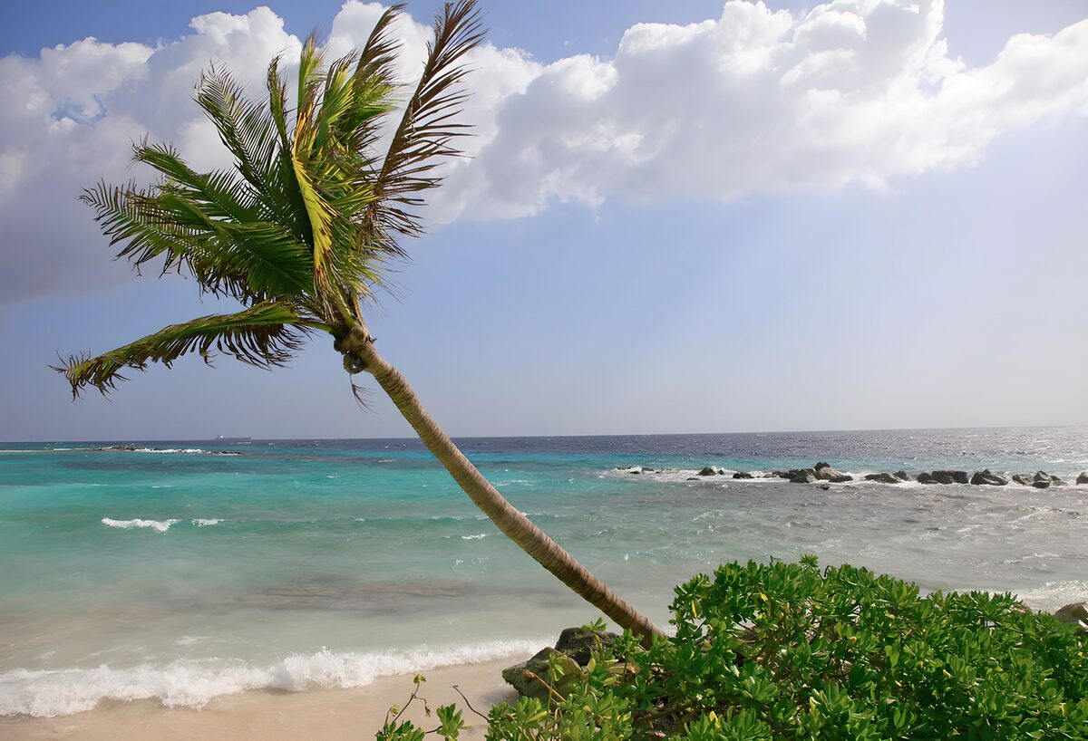 Tropical Paradise by the Sea