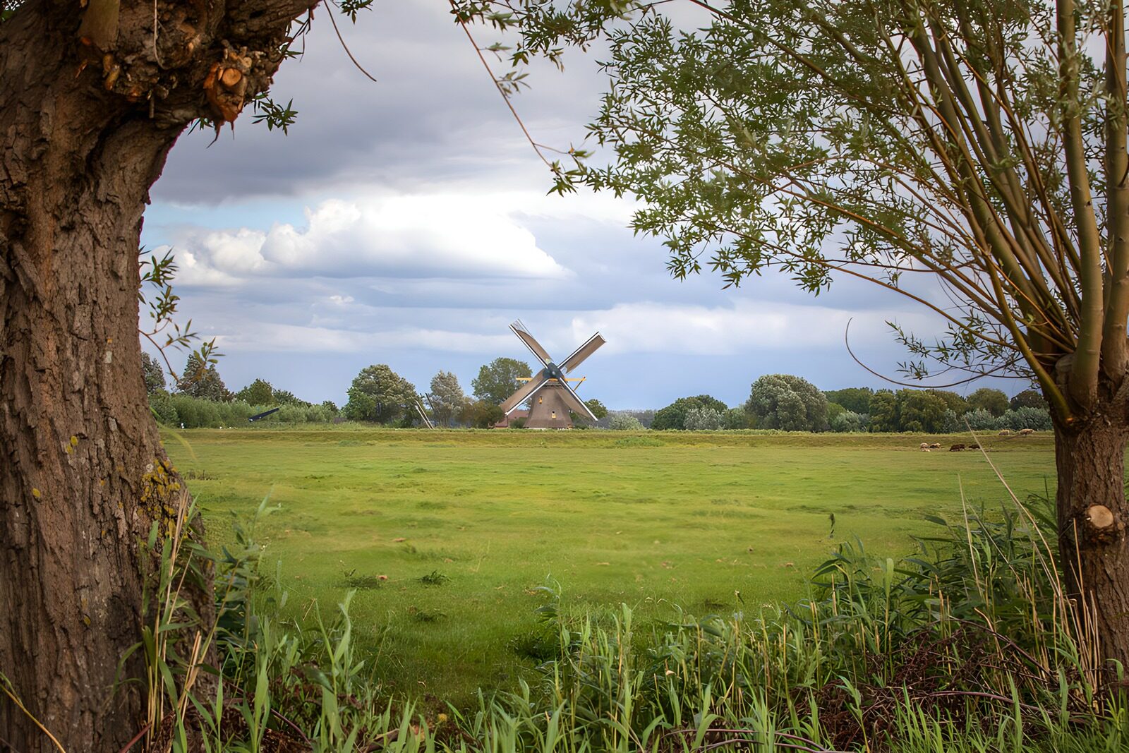 OCCOM1900285: Scenic Windmill Amidst Lush Greenery