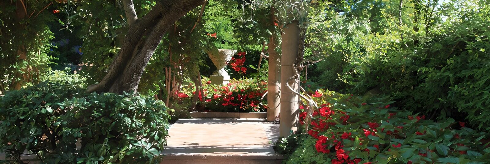 OCCOM2187631: Serene Garden Pathway