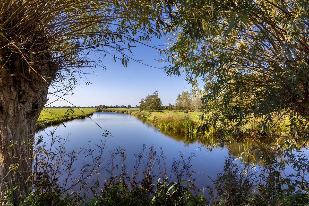 OCCOM1302128: Tranquil River Scene Surrounded by Nature
