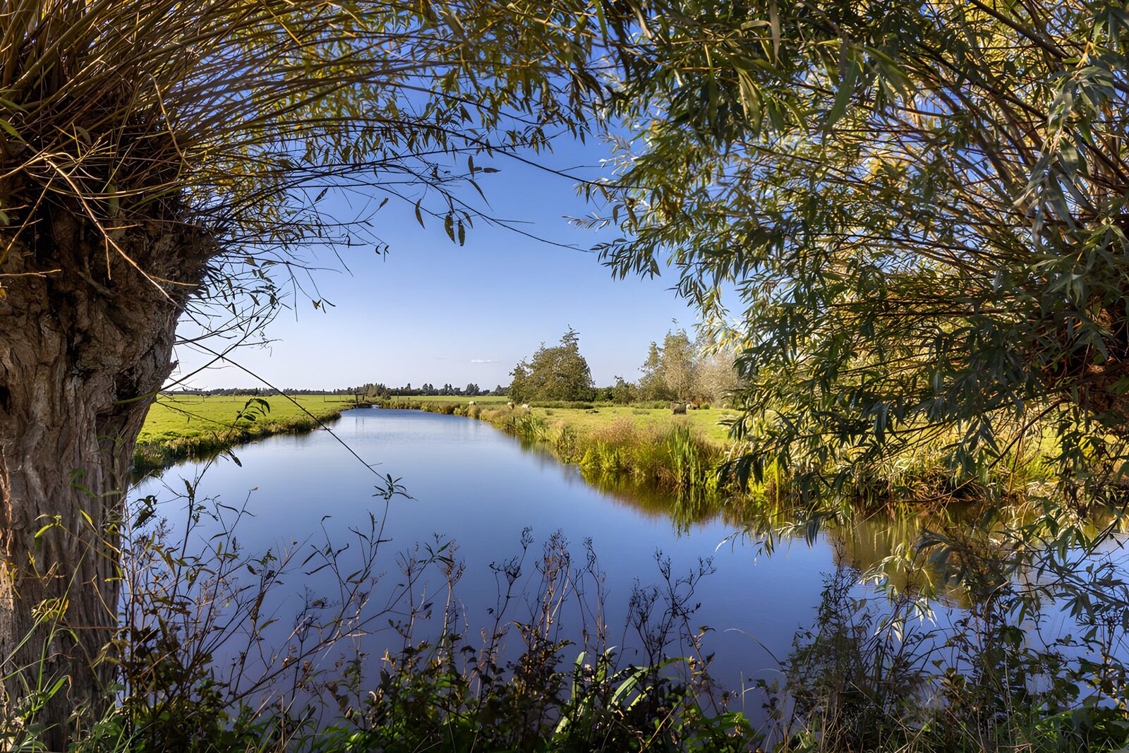 OCCOM1302128: Tranquil River Scene Surrounded by Nature