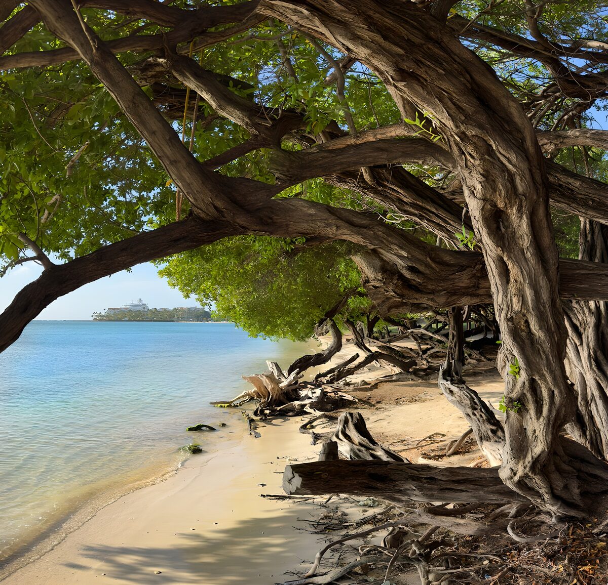 Serene Coastal Oasis with Twisted Trees
