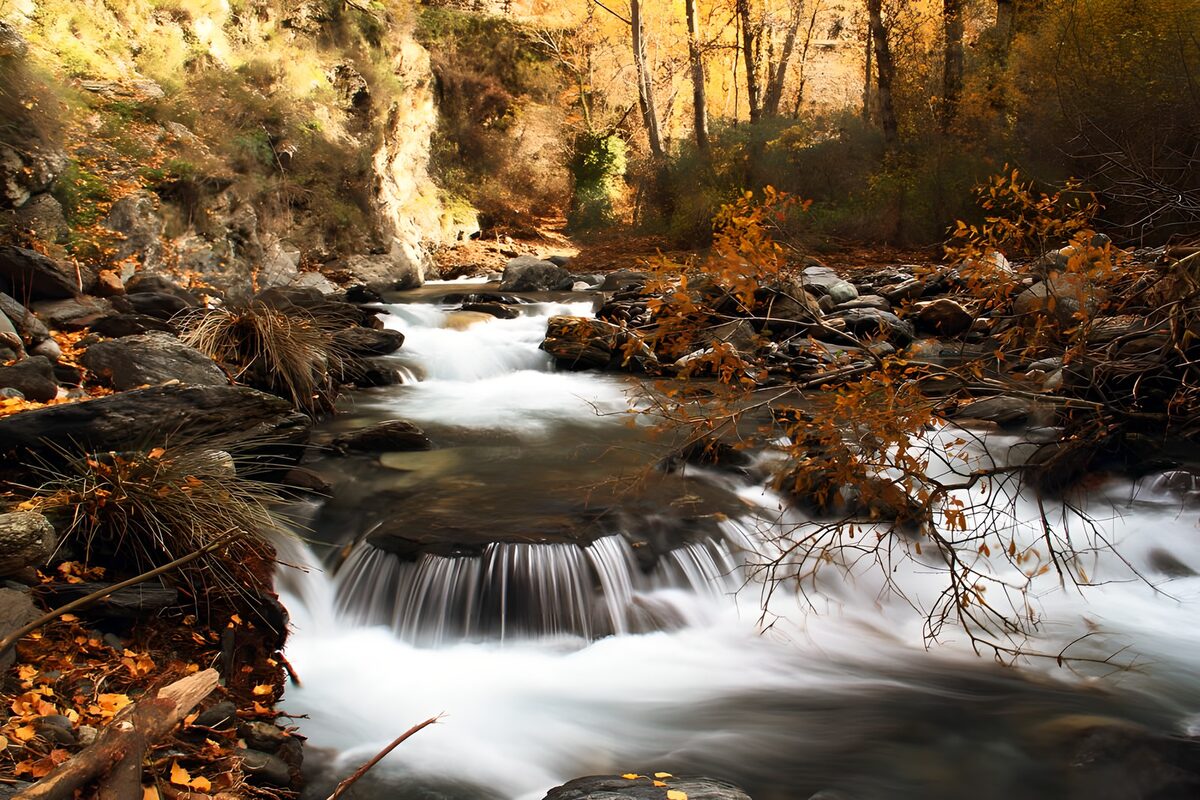 OCCOM6695946: Tranquil Autumn River Flow