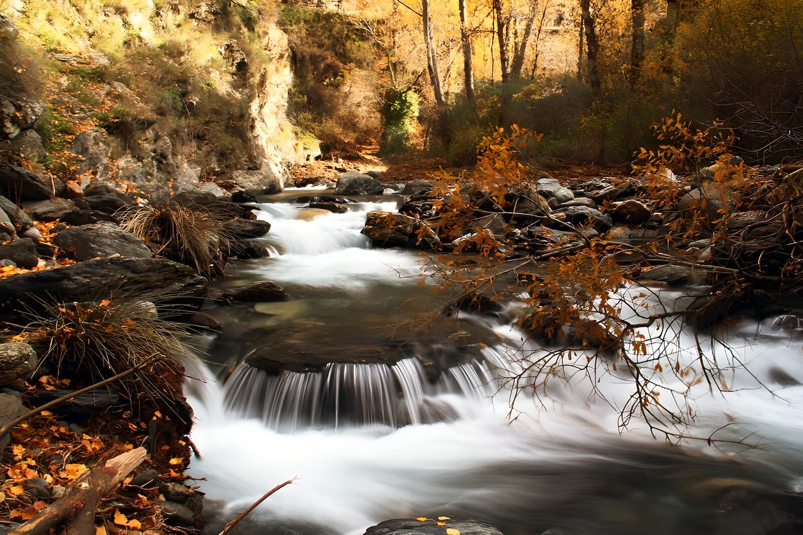 OCCOM6695946: Tranquil Autumn River Flow