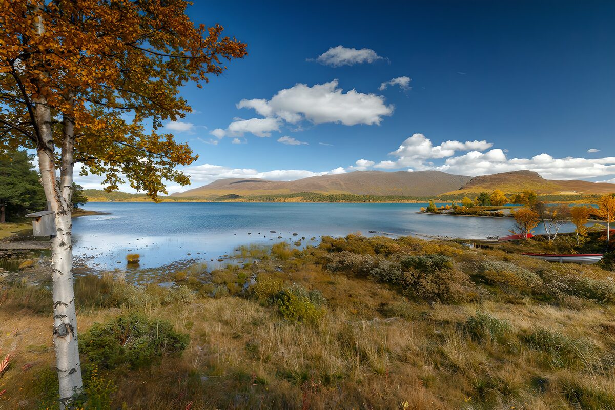 Tranquil Lakeside in Autumn's Embrace