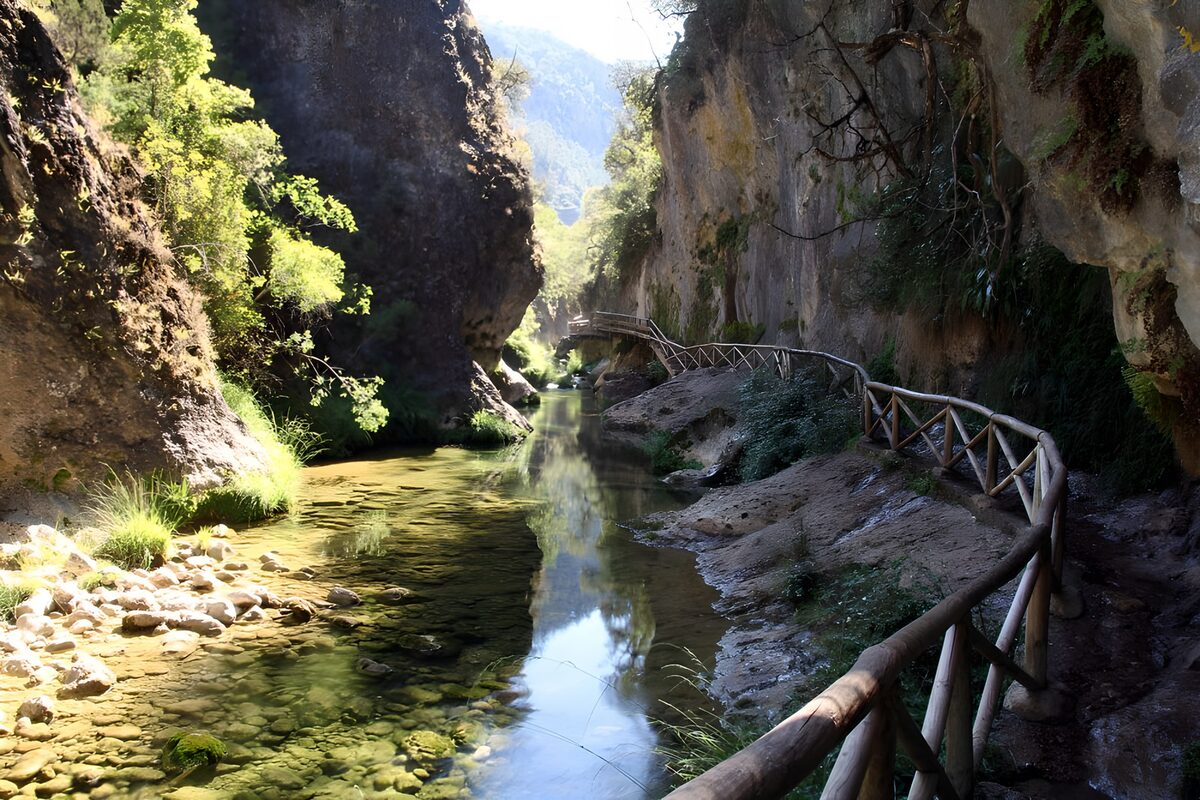OCCOM3768642: Serene River Gorge Escape