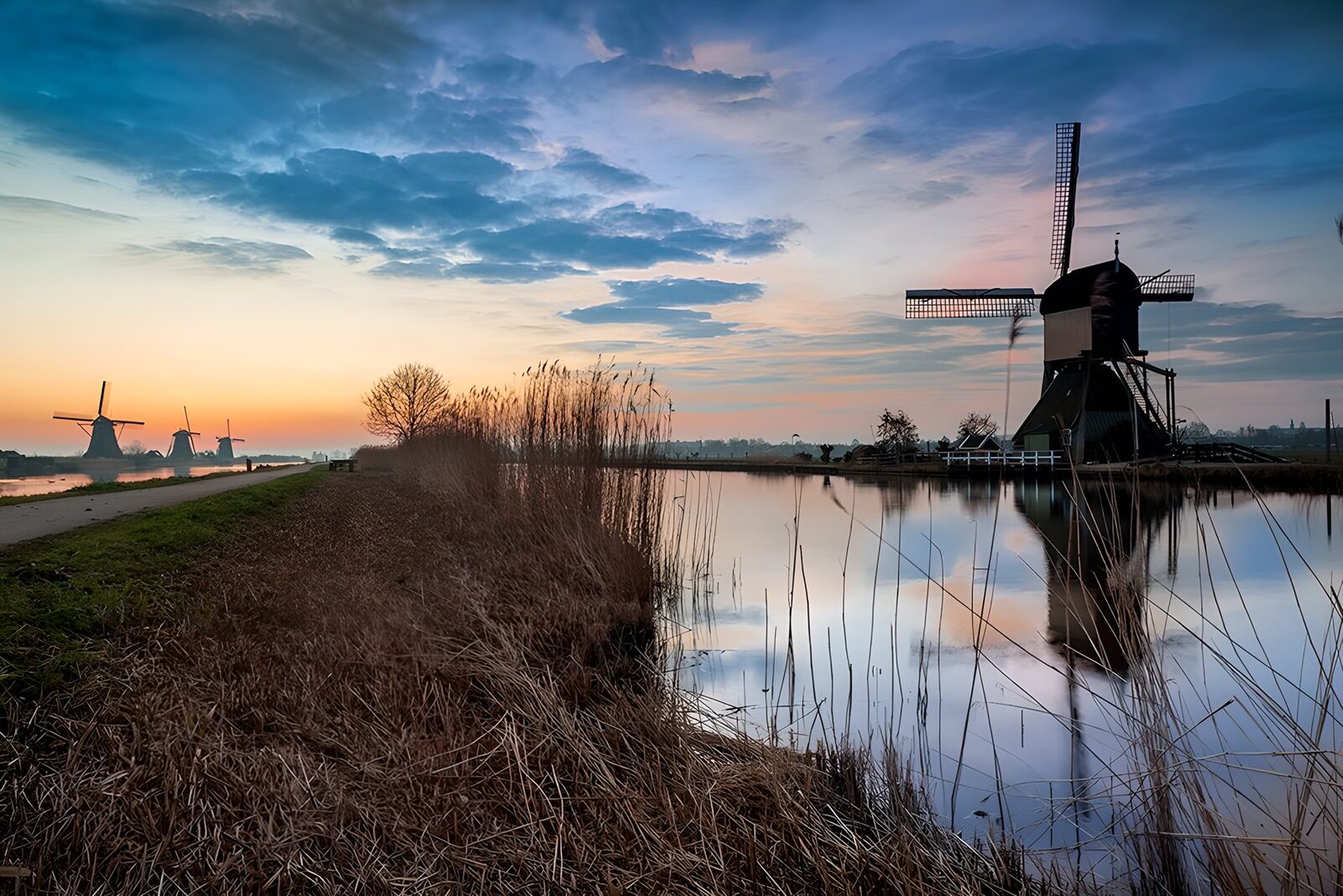 OCCOM7720693: Tranquil Windmills at Dawn