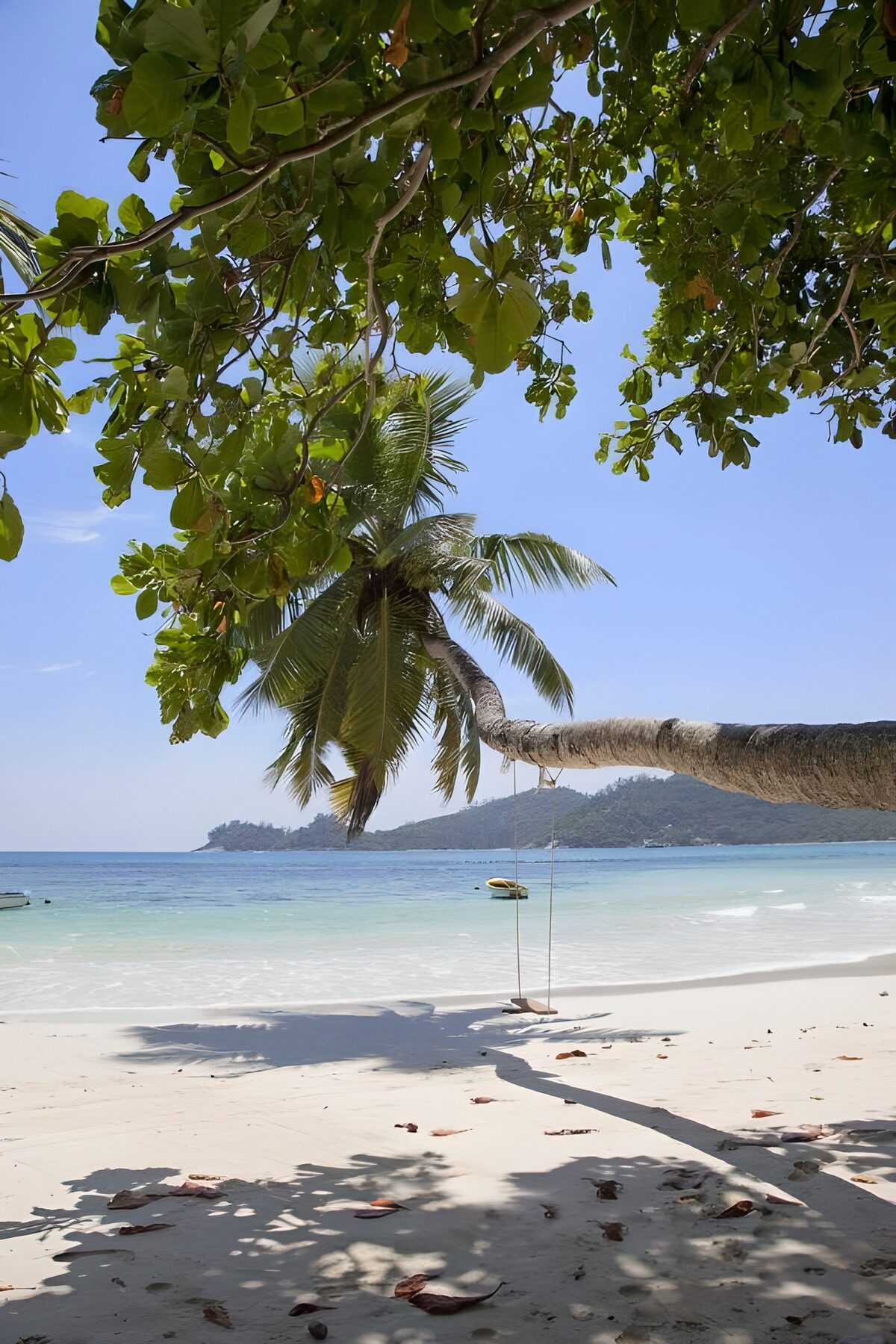 OCCOM9382305: Tropical Paradise with Swinging Palm Tree