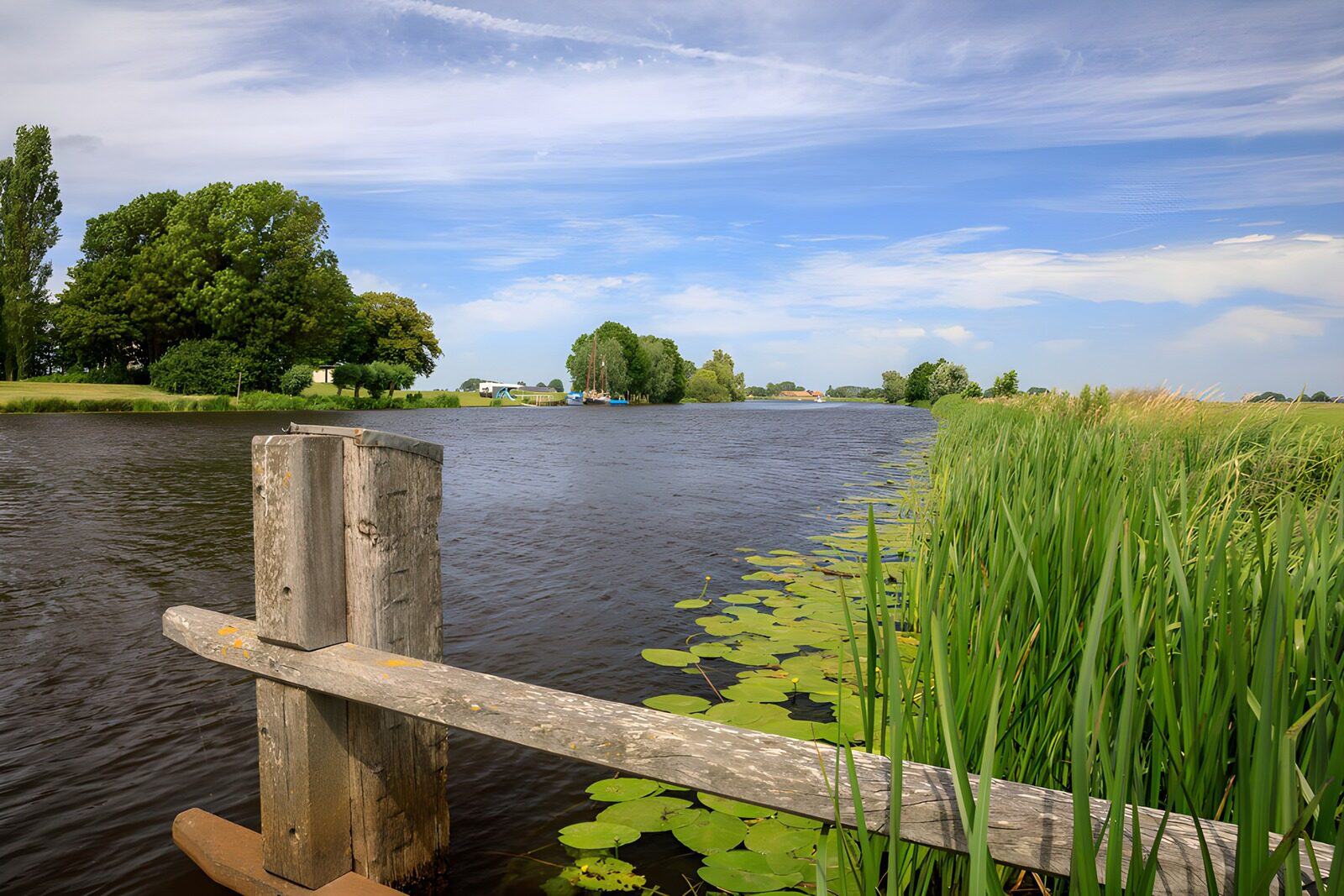 OCCOM4095863: Tranquil Waterscape in Nature