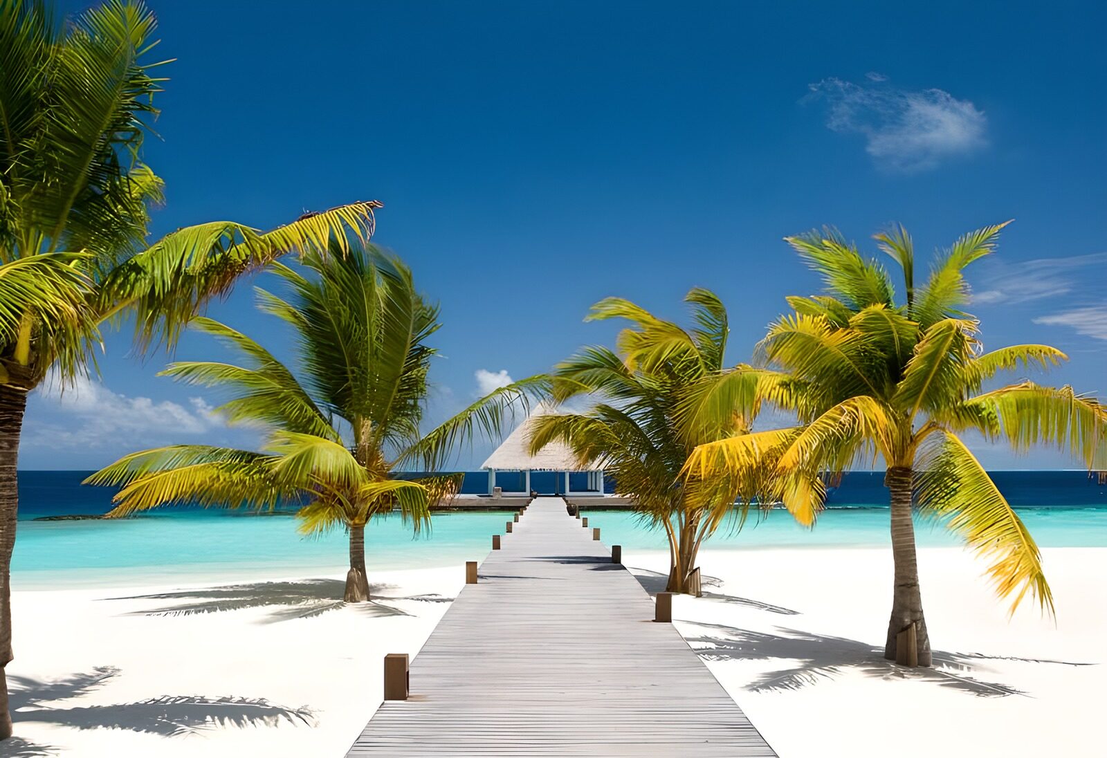 OCCOM2741033: Tropical Paradise: A Path to Tranquility