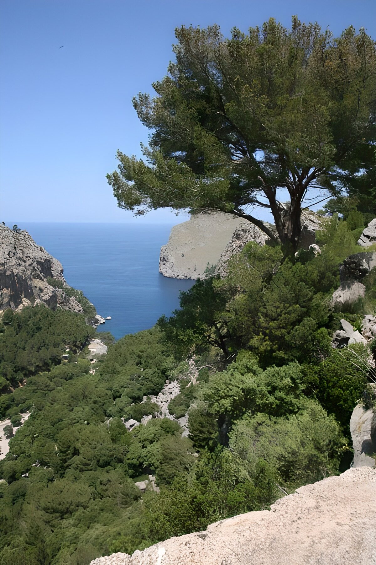 OCCOM2172773: Scenic Coastal View of Serene Waters