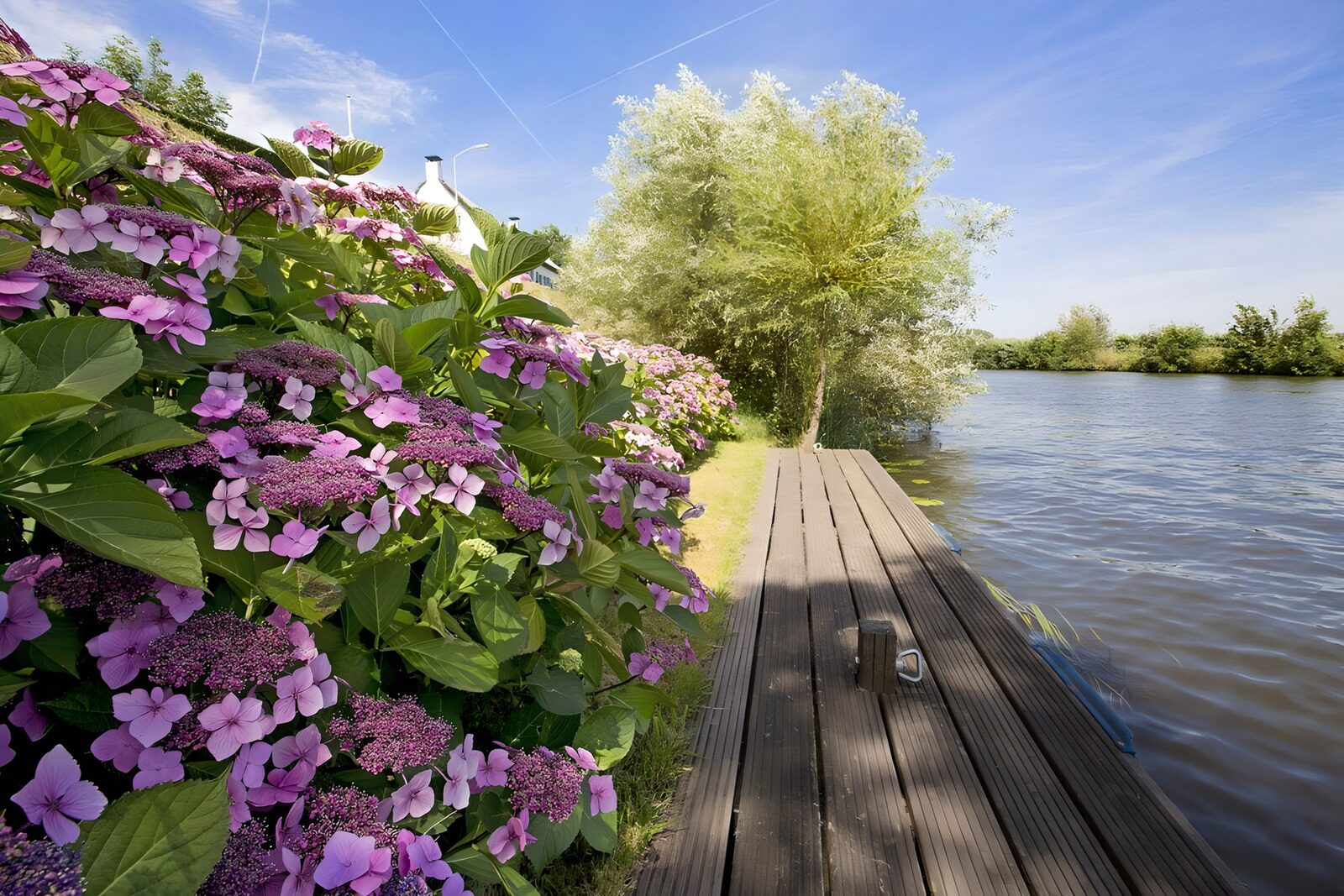 OCCOM5464359: Tranquil Waterside Flowers