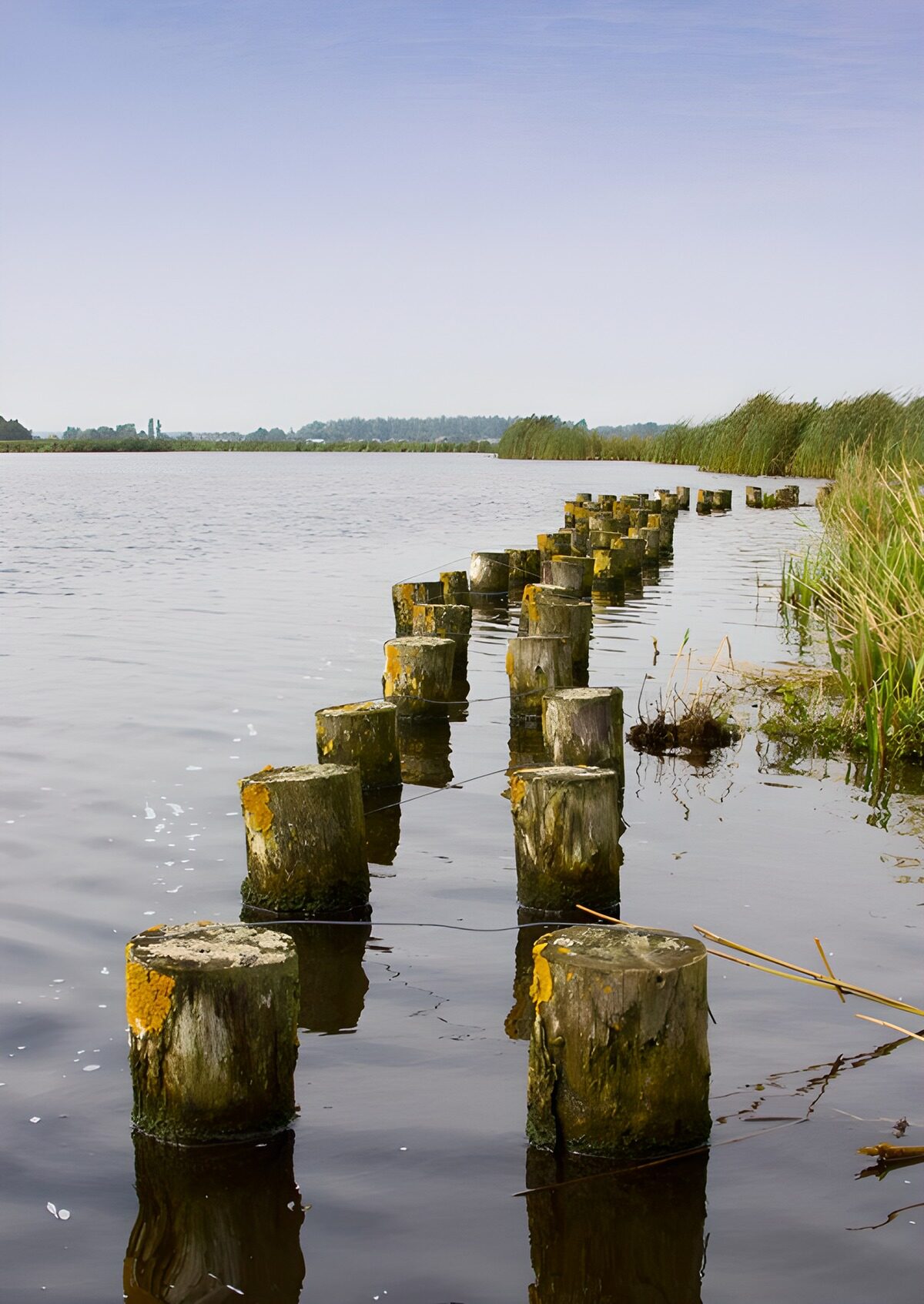 Tranquil Waters and Weathered Posts