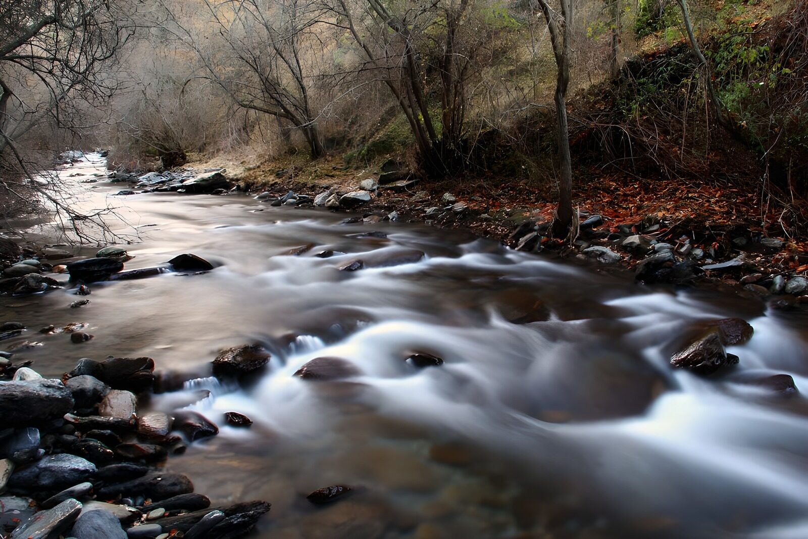 OCCOM1209106: Serene Stream in Autumn Landscape