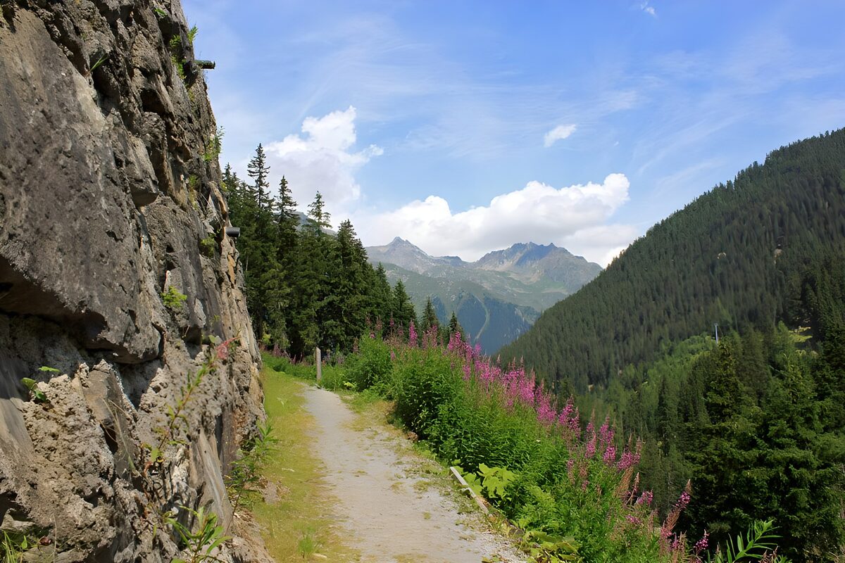 Serene Mountain Pathway in Bloom