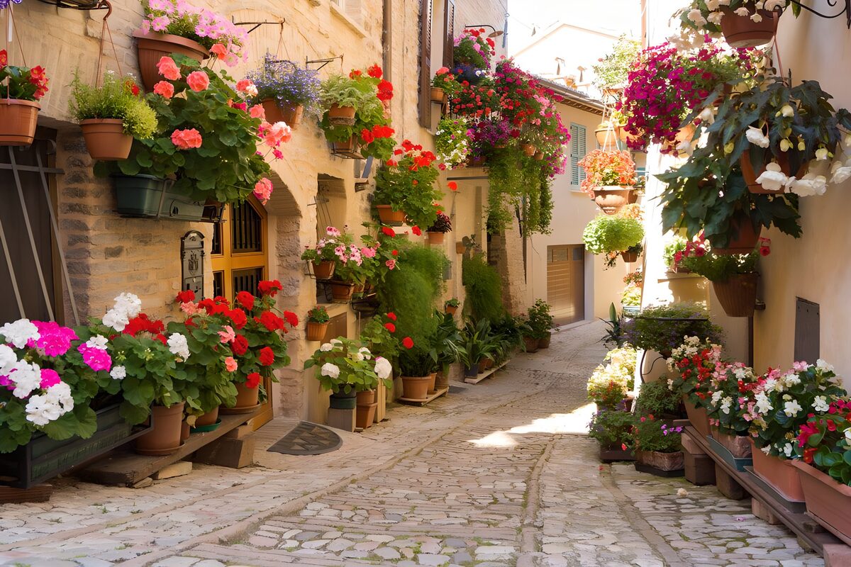 Street with colourful pots and plants