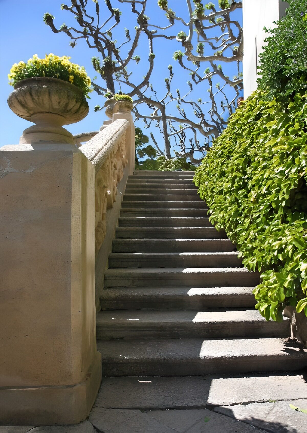 OCCOM1332234: Elegant Garden Steps Under Blue Skies