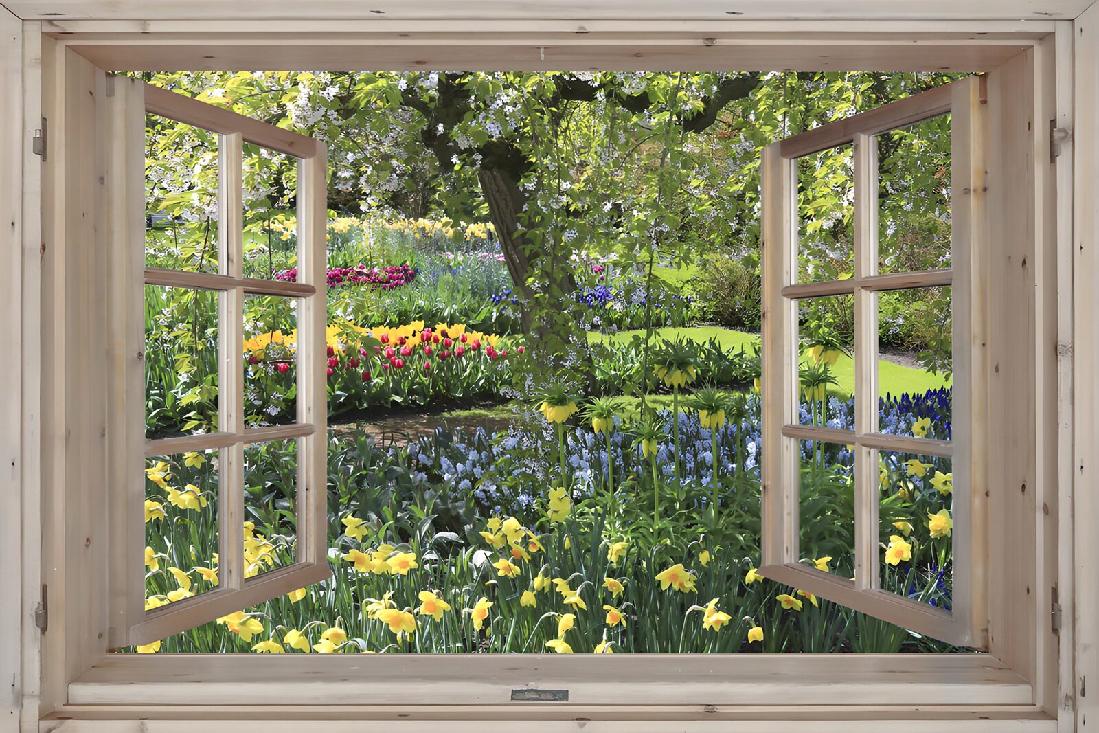 OCCOM1656504: Spring Blossoms Through the Window