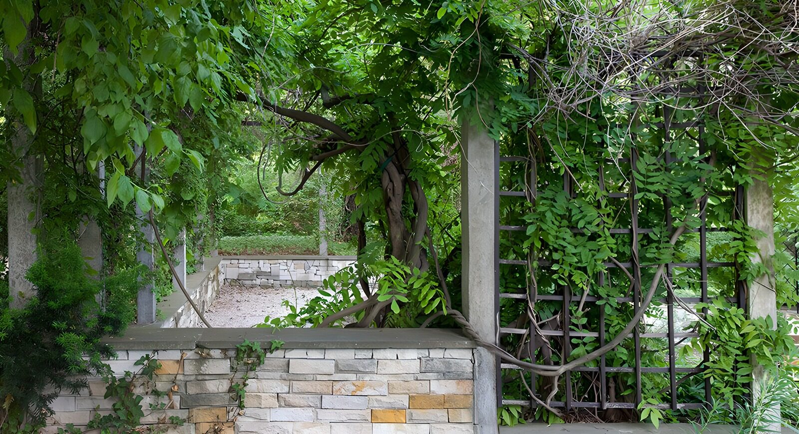 OCCOM4975382: Lush Greenery Archway