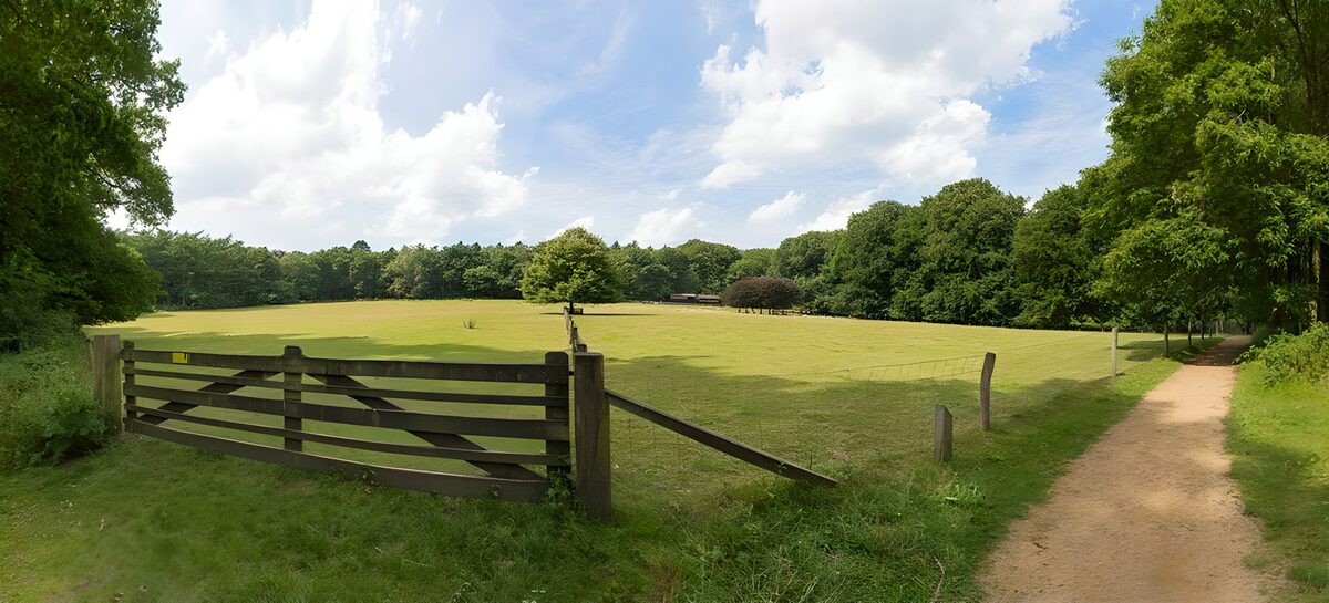 Serene Meadow Gateway