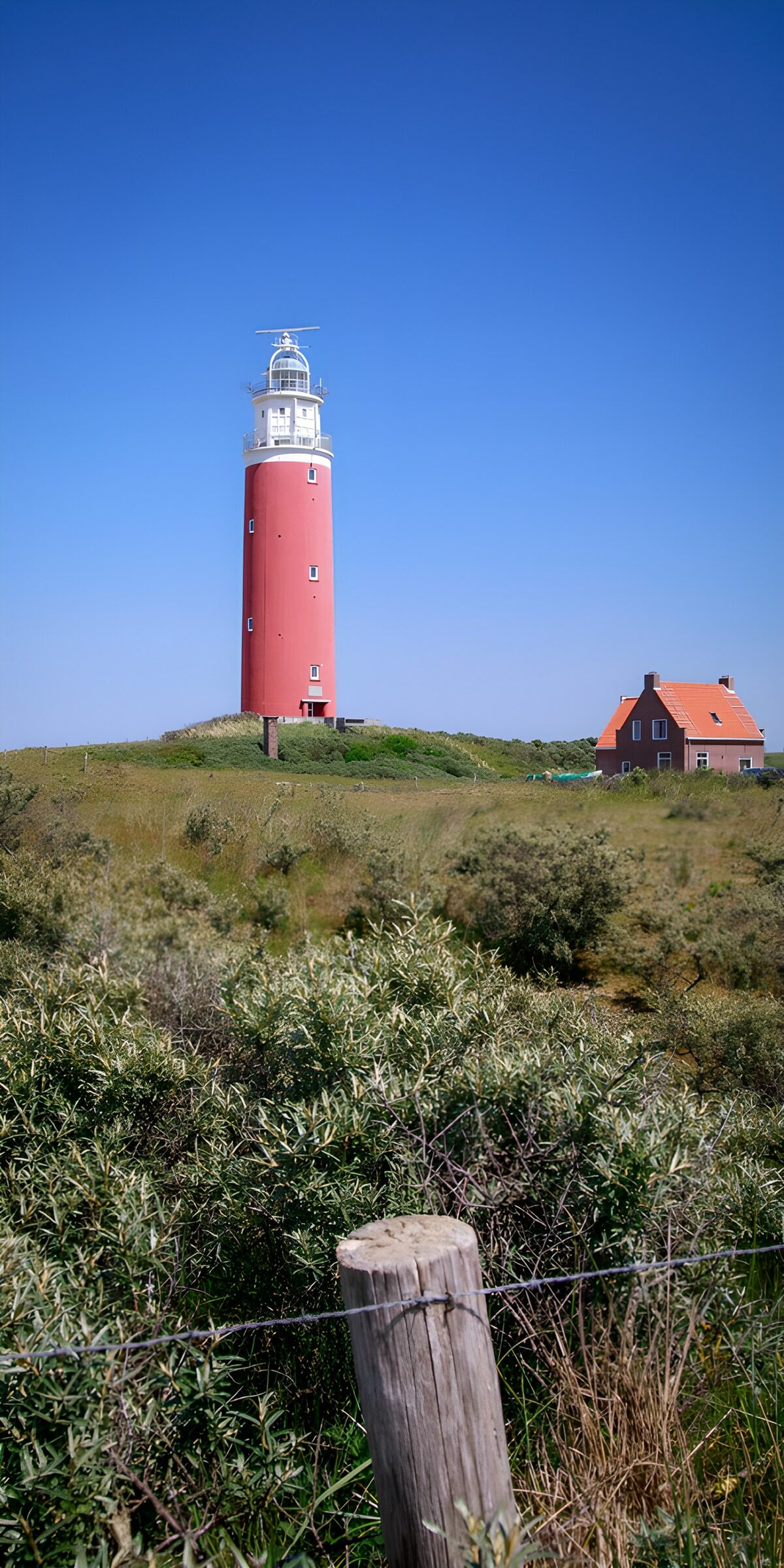 OCCOM3429811: Coastal Lighthouse Amidst Nature
