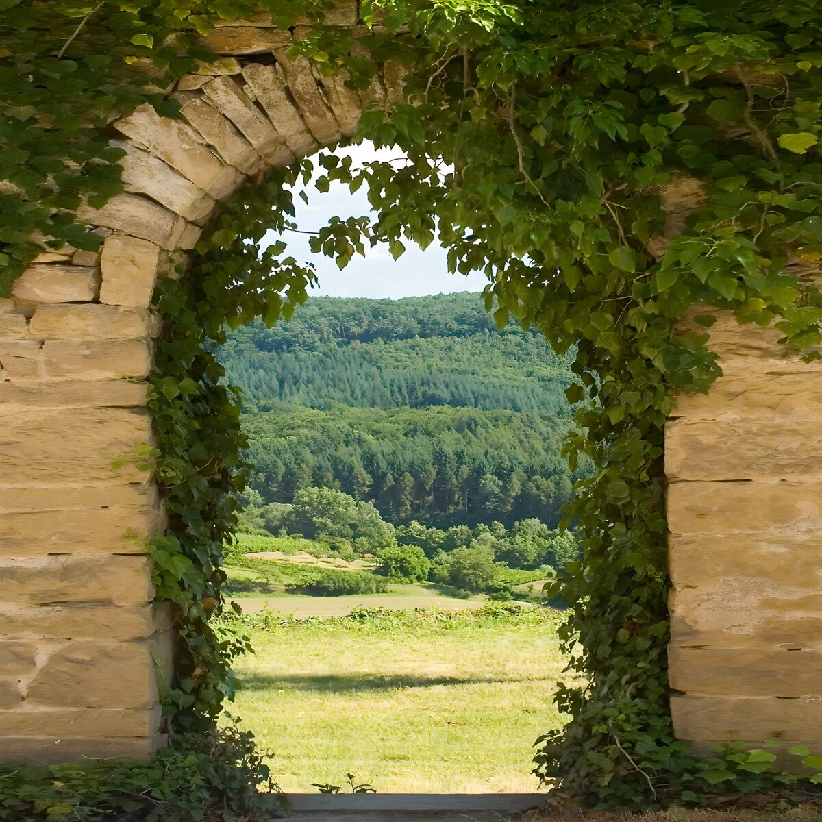 OCCOM6660102: Enchanted Gateway to Nature's Splendor