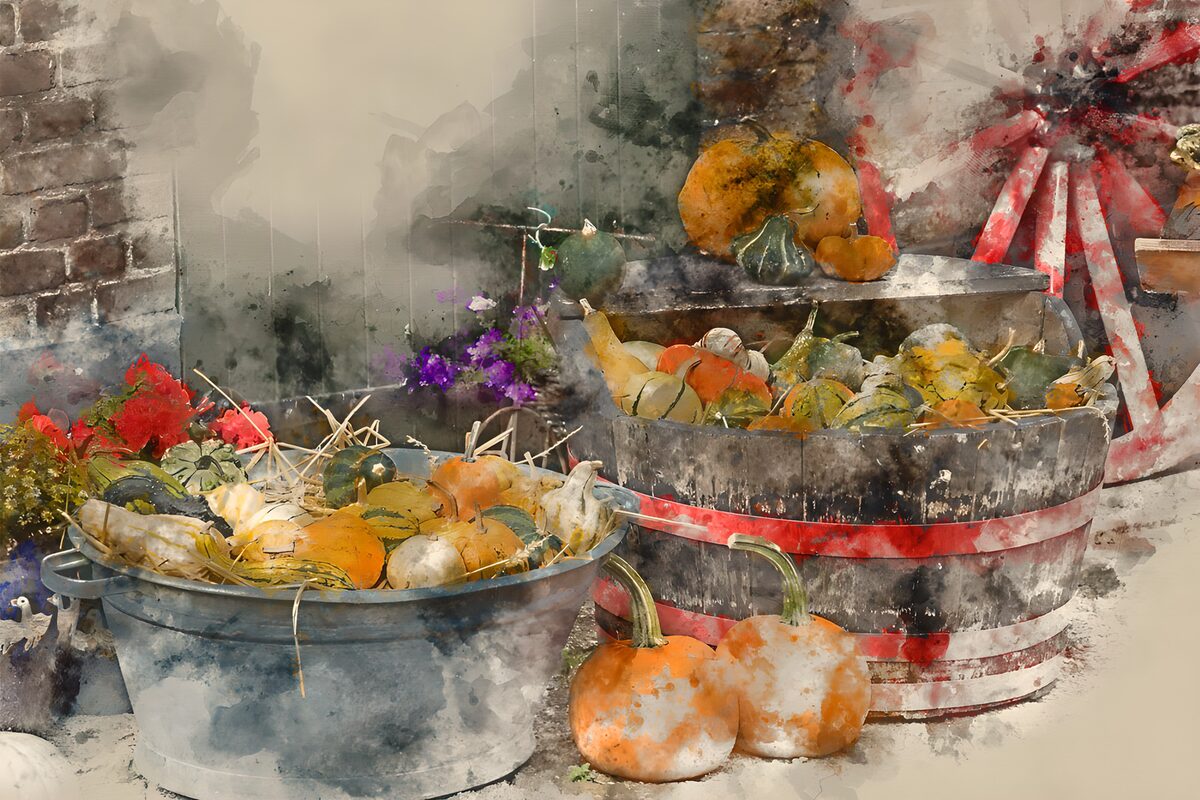Autumn Harvest Display