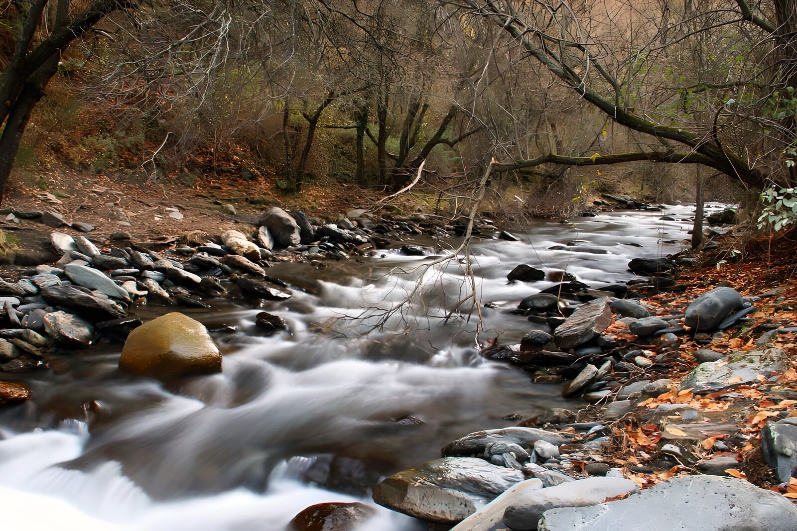 OCCOM8915231: Tranquil River Flowing Through Autumn Woods