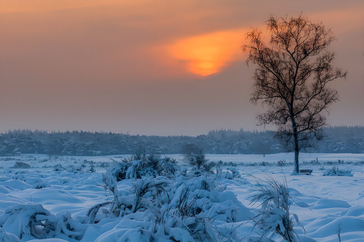 Winter Serenity at Dusk