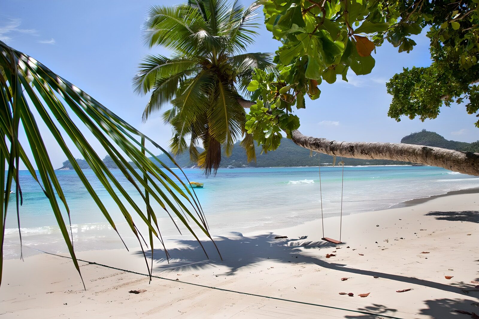OCCOM8290729: Tropical Paradise by the Sea