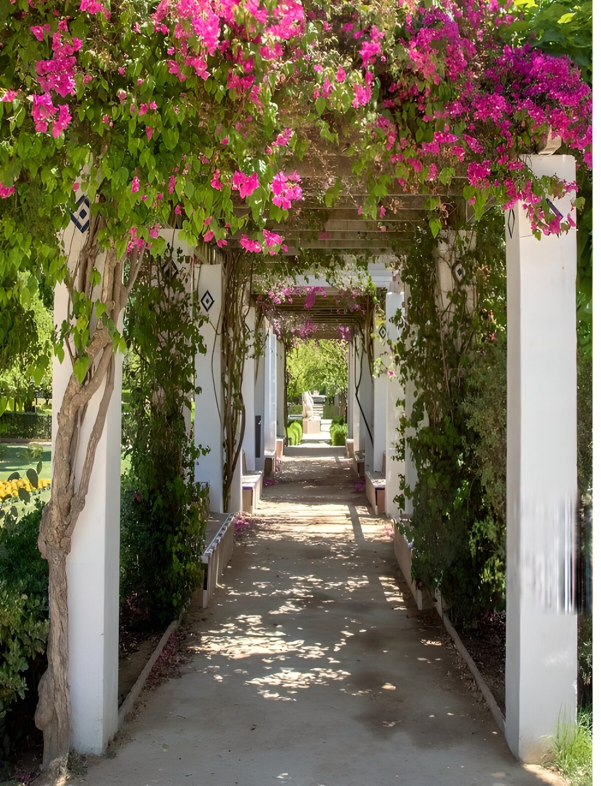 OCCOM9120572: Enchanted Garden Pathway