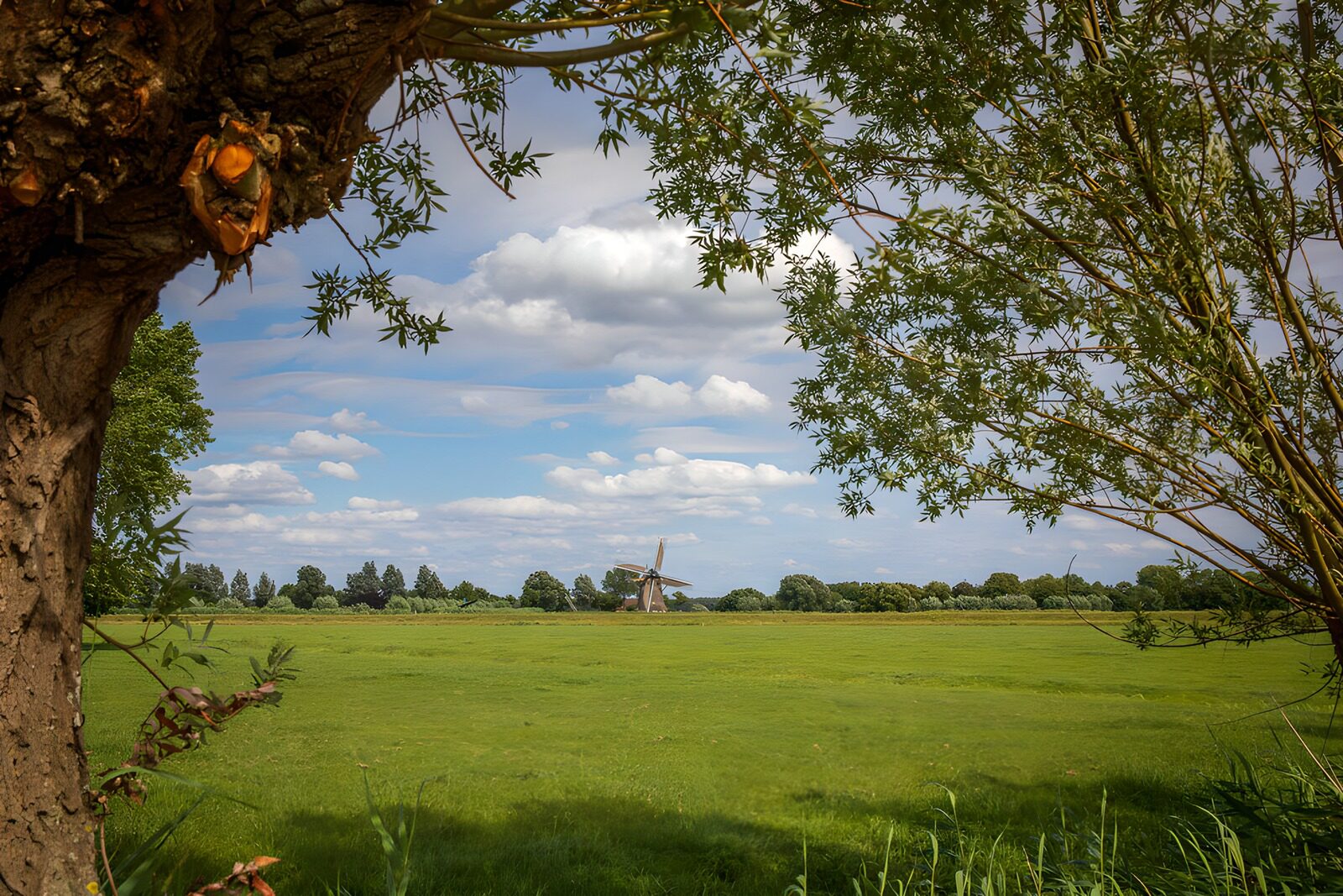 OCCOM1523764: Tranquil Landscape with Windmill