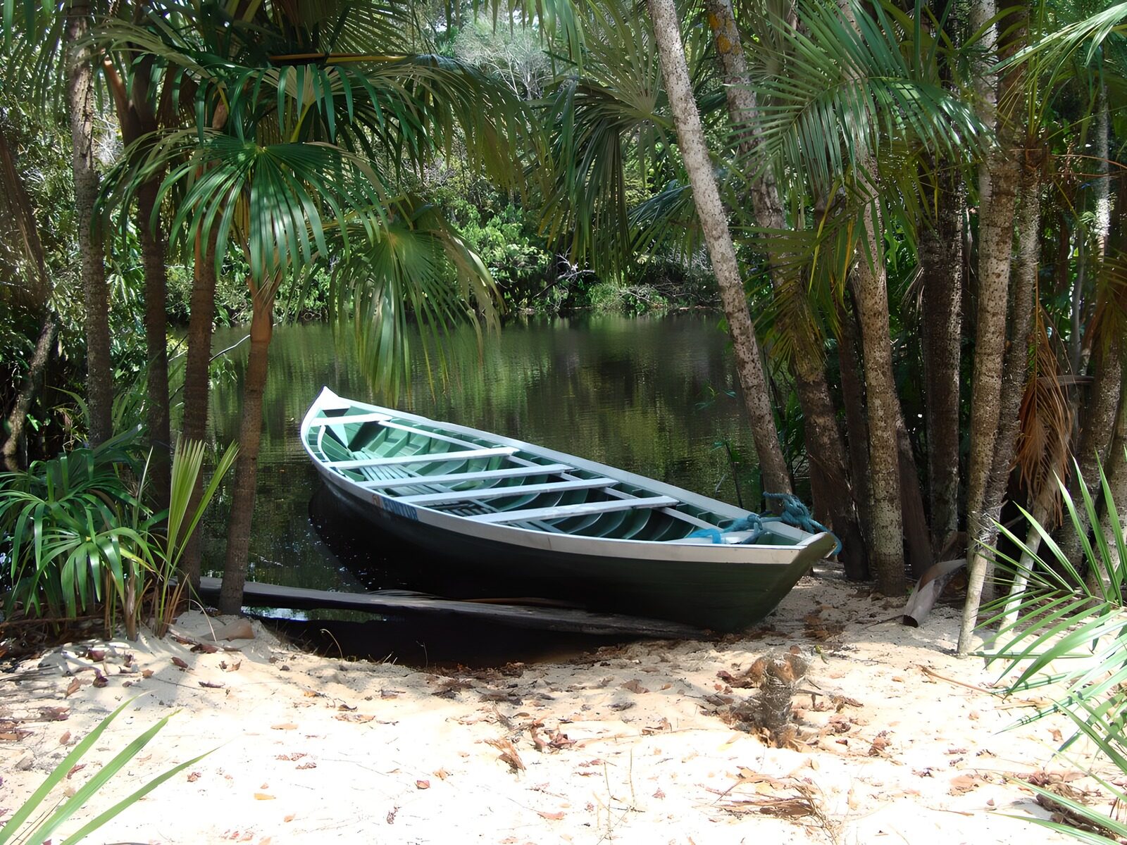 OCCOM3097244: Tranquil Boat Amidst Lush Foliage