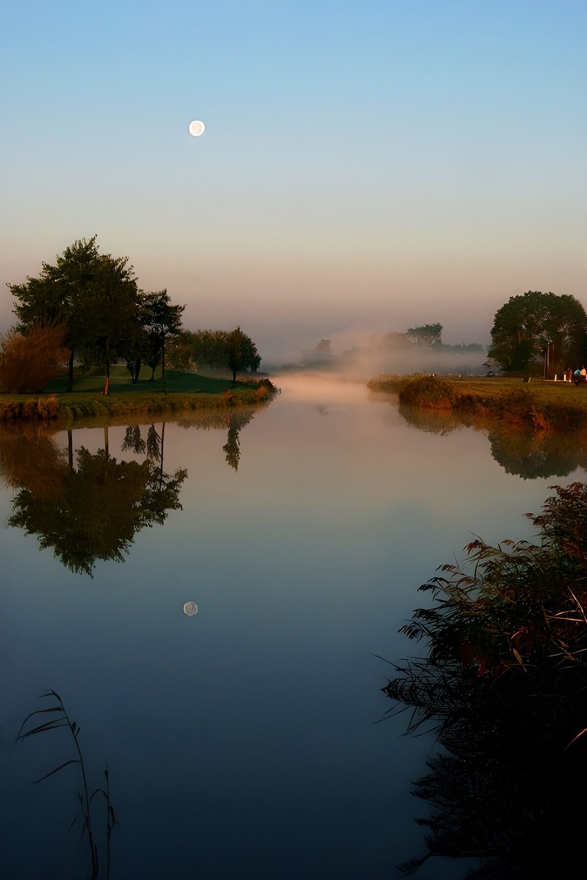 Serene Moonlit Reflections