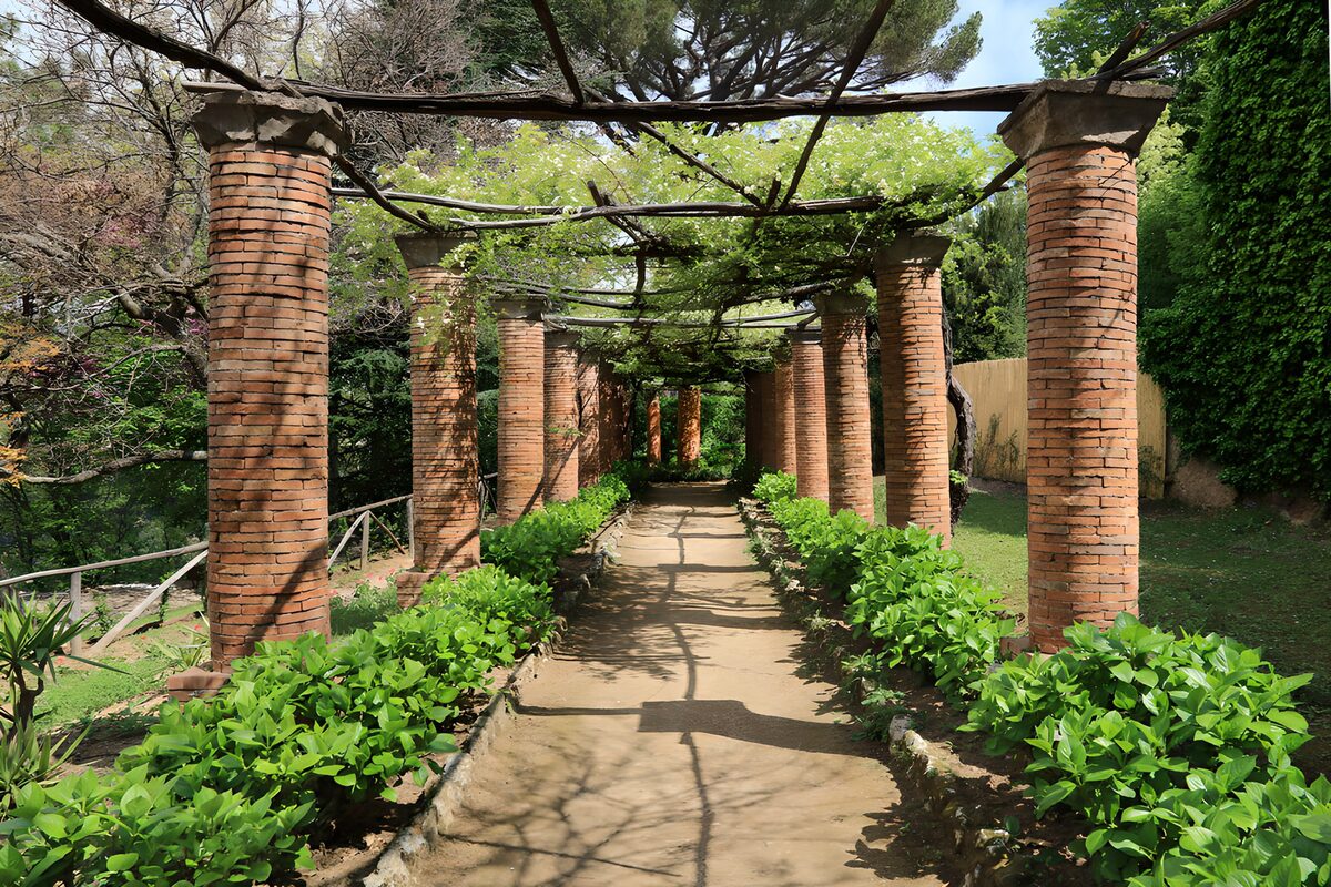 OCCOM9448484: Serene Garden Pathway