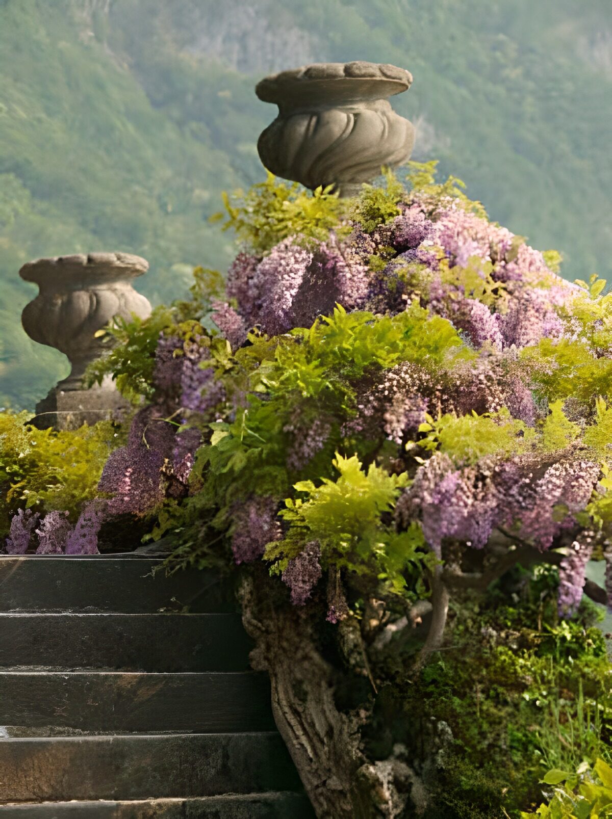 Blossoming Wisteria Over Stone Steps