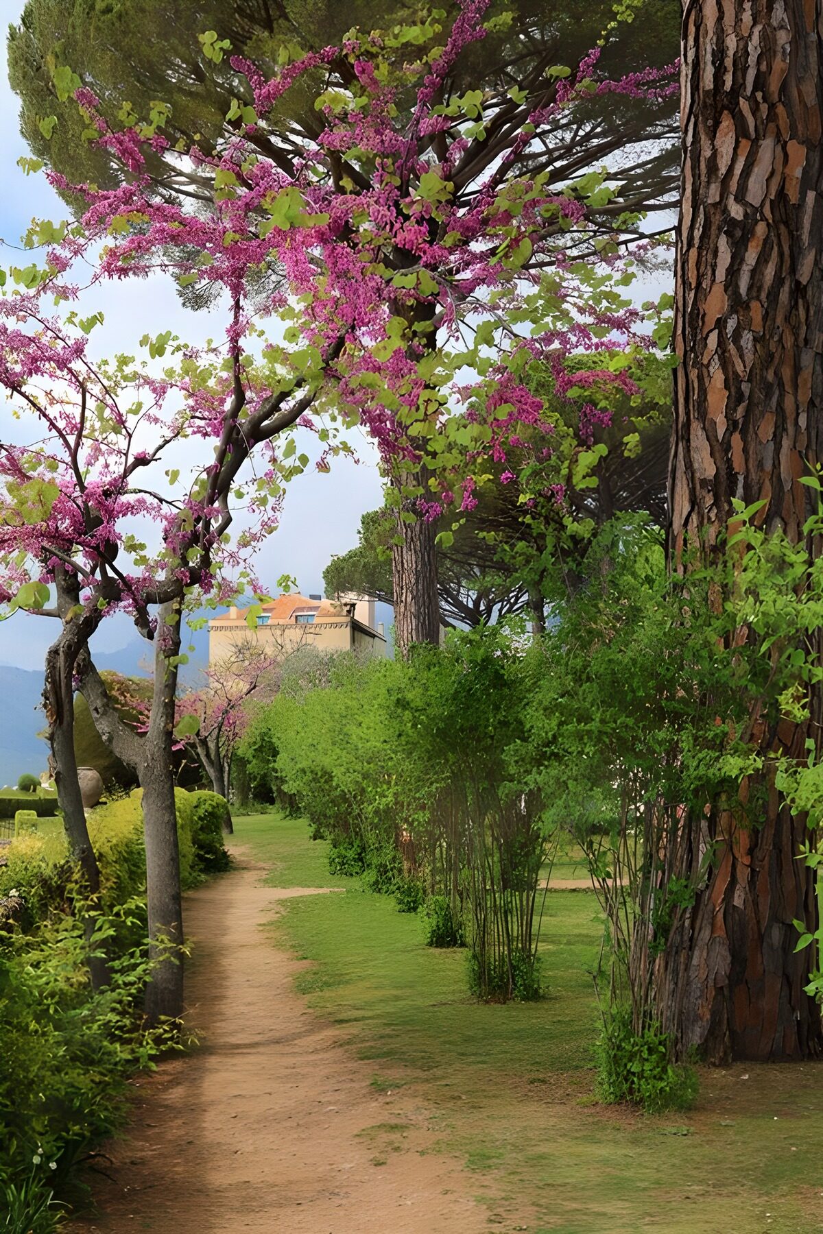 Serene Pathway Through Blooming Gardens