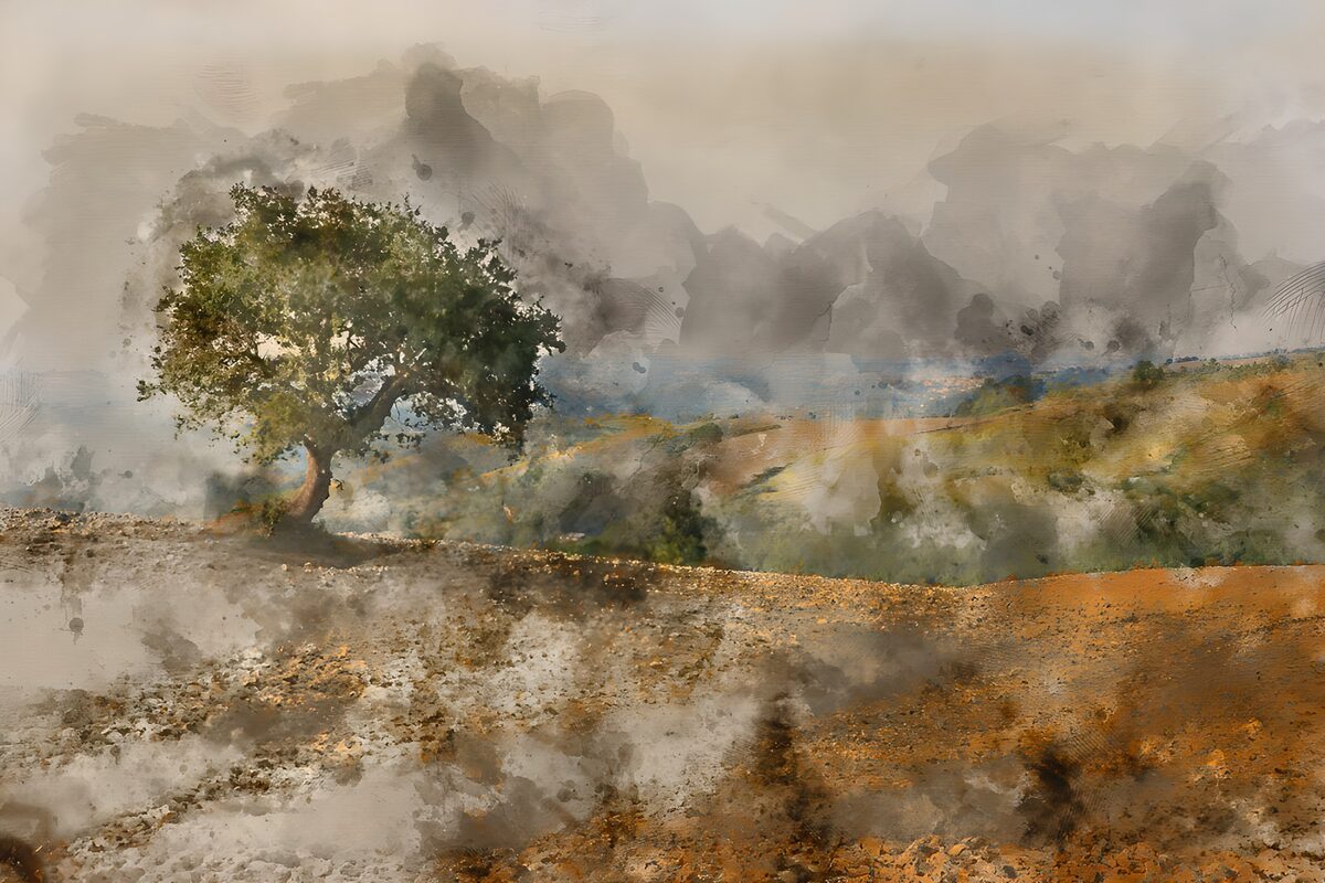 Solitary Tree in a Misty Landscape