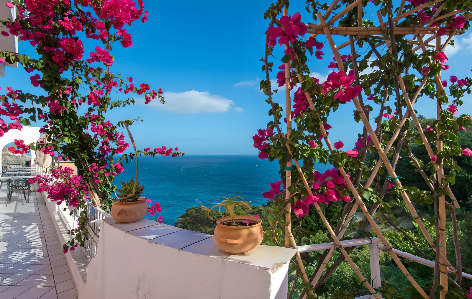 OCCOM6733596: Coastal Oasis with Bougainvillea Charm