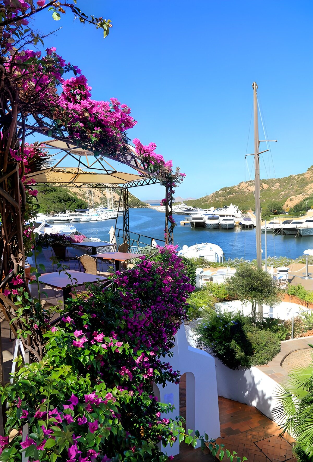 Scenic Marina with Blossoming Bougainvillea