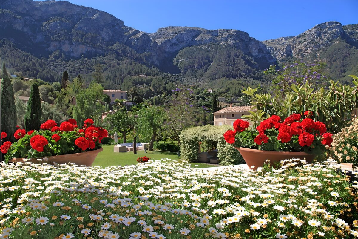 Scenic Mountain Garden with Flowers