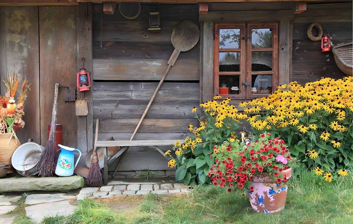 Rustic Charm of Countryside Cabin