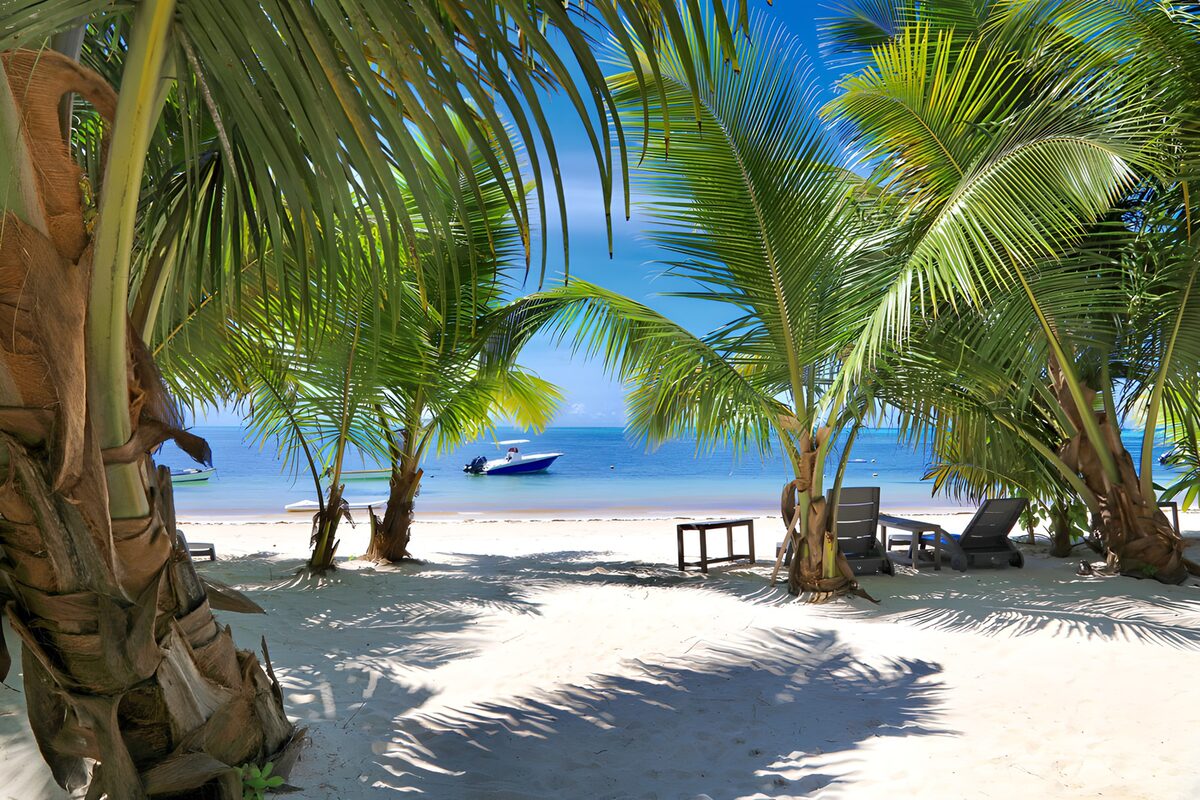 OCCOM3336361: Tropical Beach Serenity