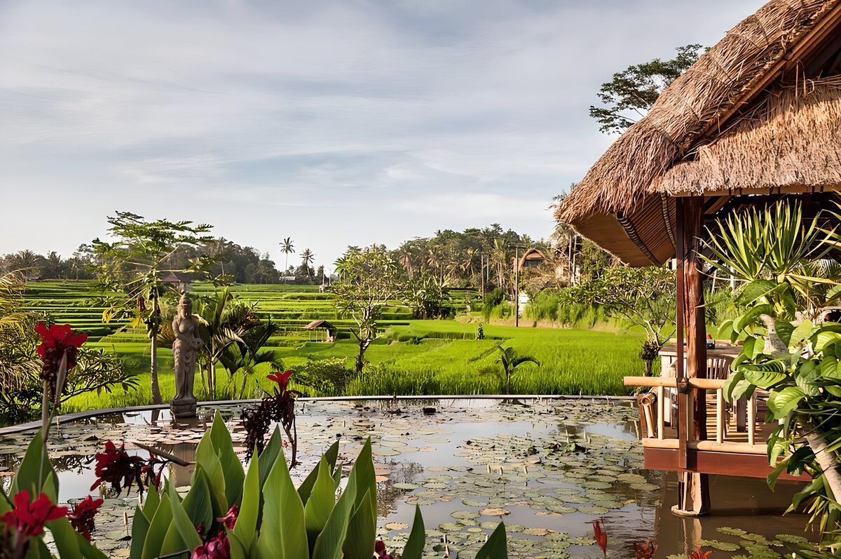 Tranquil Rice Fields Retreat