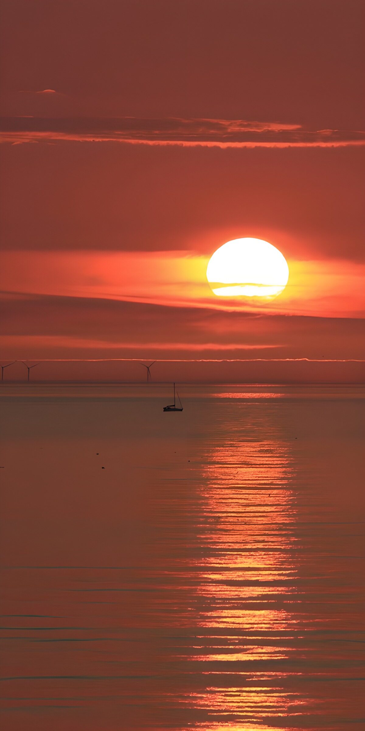 OCCOM7832545: Tranquil Sunset Over Calm Waters