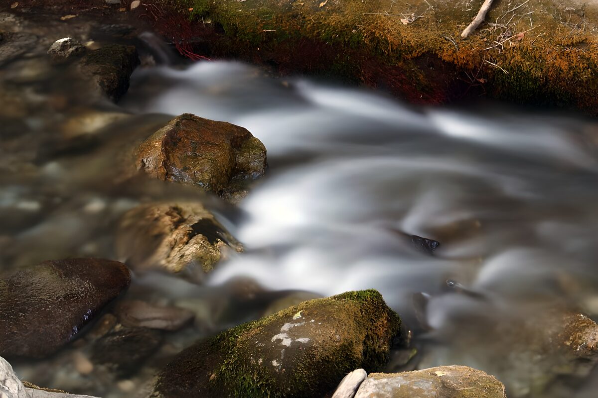 OCCOM9519958: Gentle Stream Flowing Over Rocks