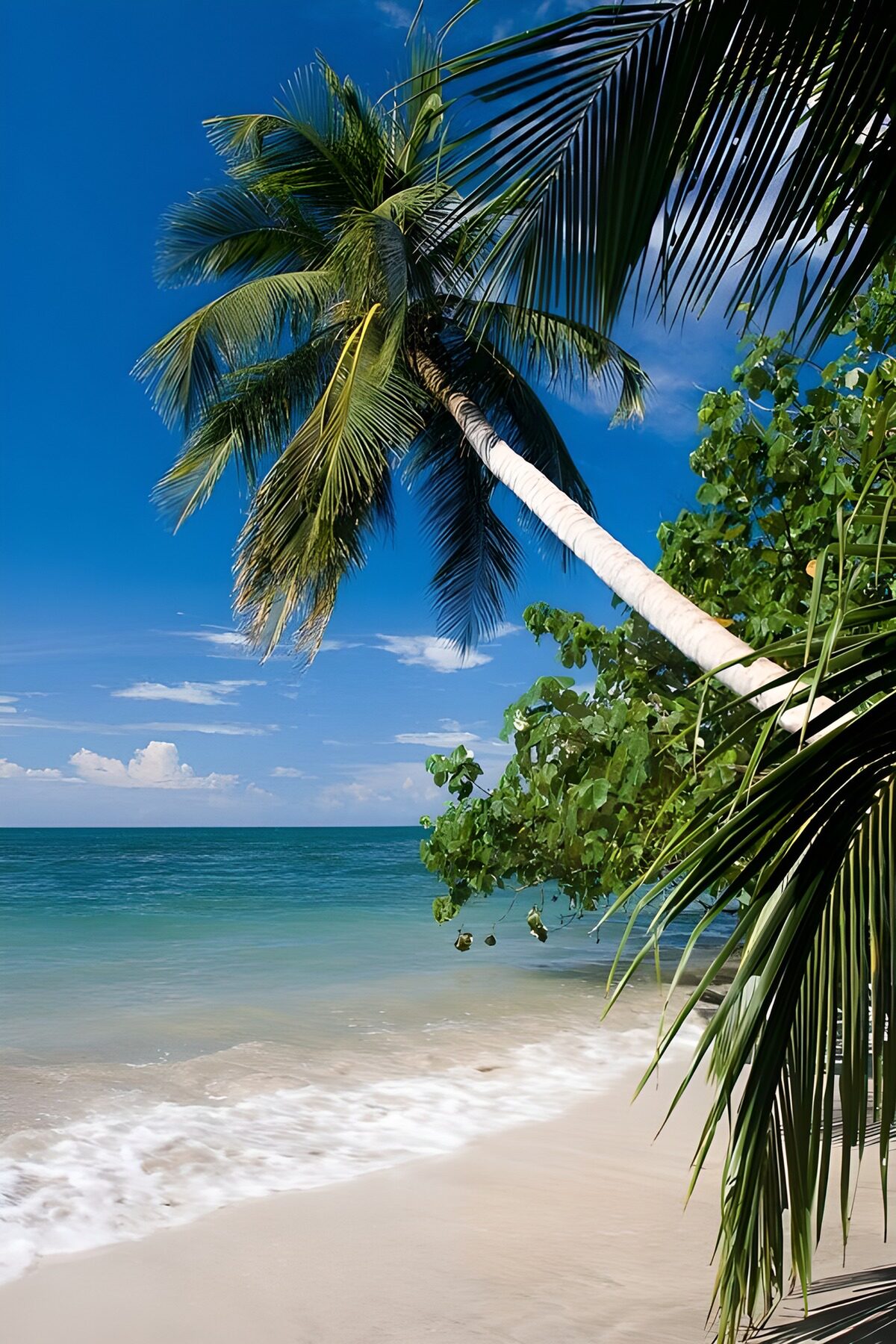 Tranquil Beach Paradise